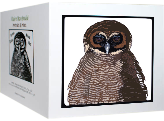 Asian Brown Wood Owl card